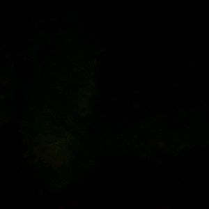 Meet your Posher, Dustin